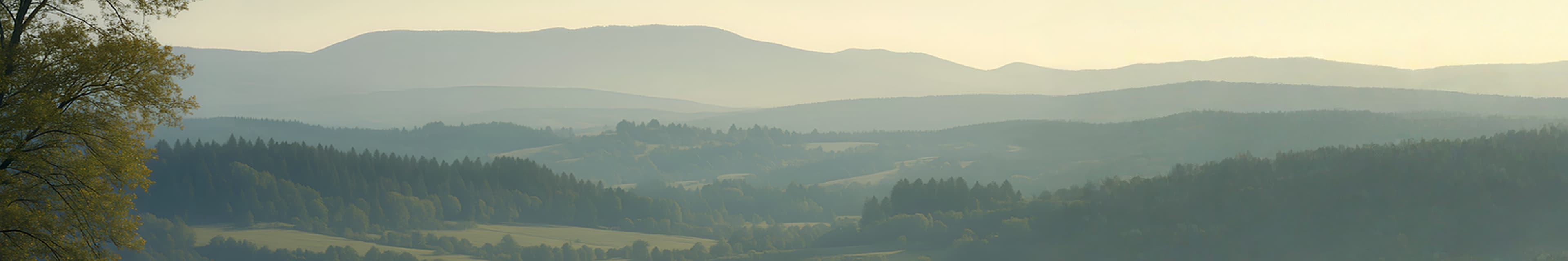 Panoramic view of a mountainscape