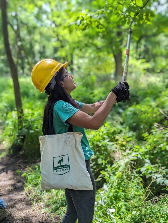 A girl trimming a tree along a trail.
