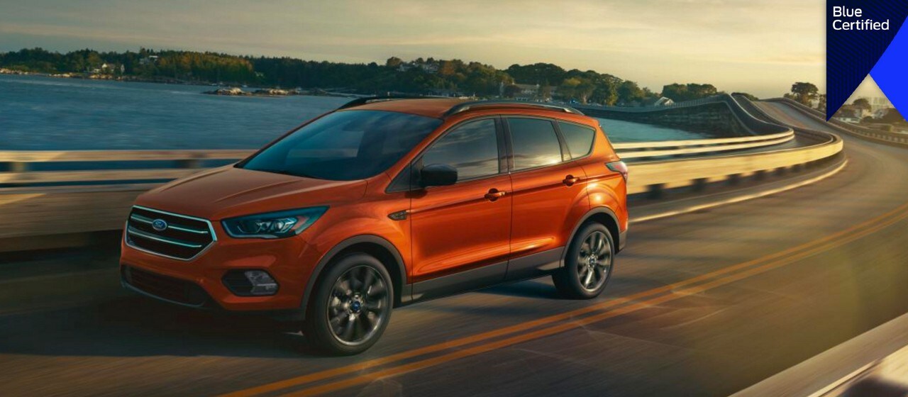 Persona conduciendo un vehículo Ford por una carretera