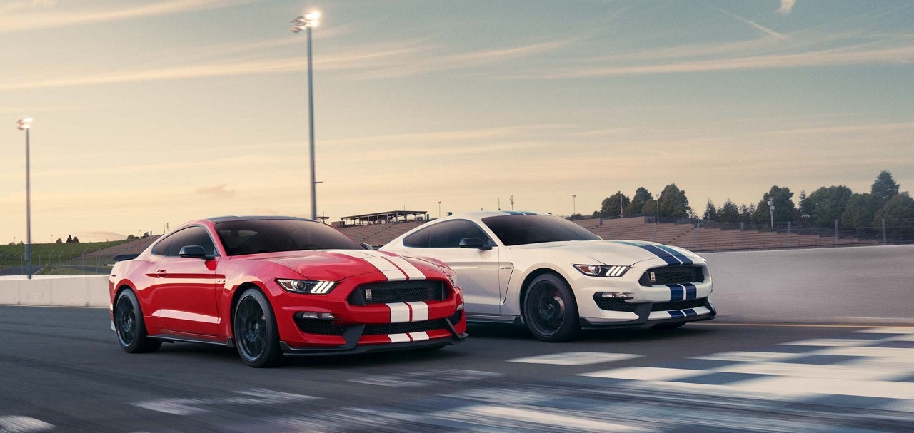 Left Side Kit | FORD MUSTANG SHELBY GT350R 2018 Left Side Kit | FORD MUSTANG SHELBY GT350R 2018
