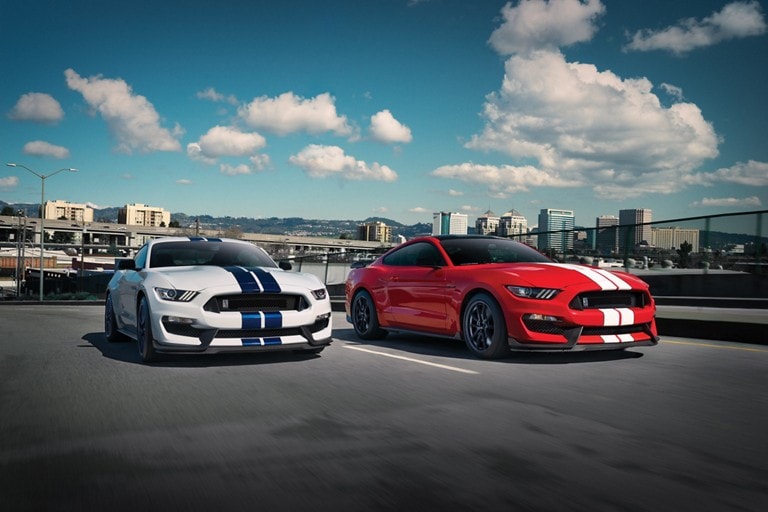 2019 Ford® Mustang Shelby GT350® Sports Car, Model Details