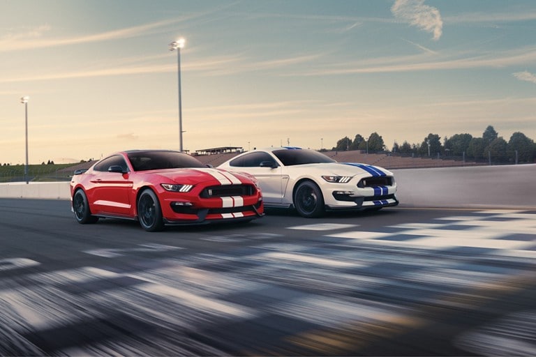 2019 shelby gt350 clearance accessories