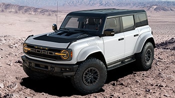 Raptor® Black Appearance Package