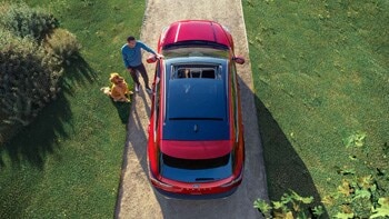 Panoramic Vista Roof