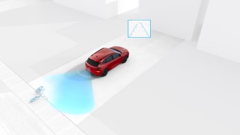 Digital Rear View Camera