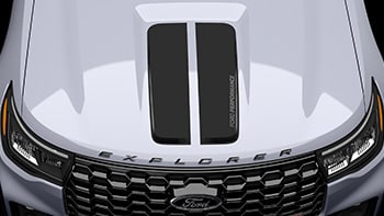 Ford Performance Hood Graphic