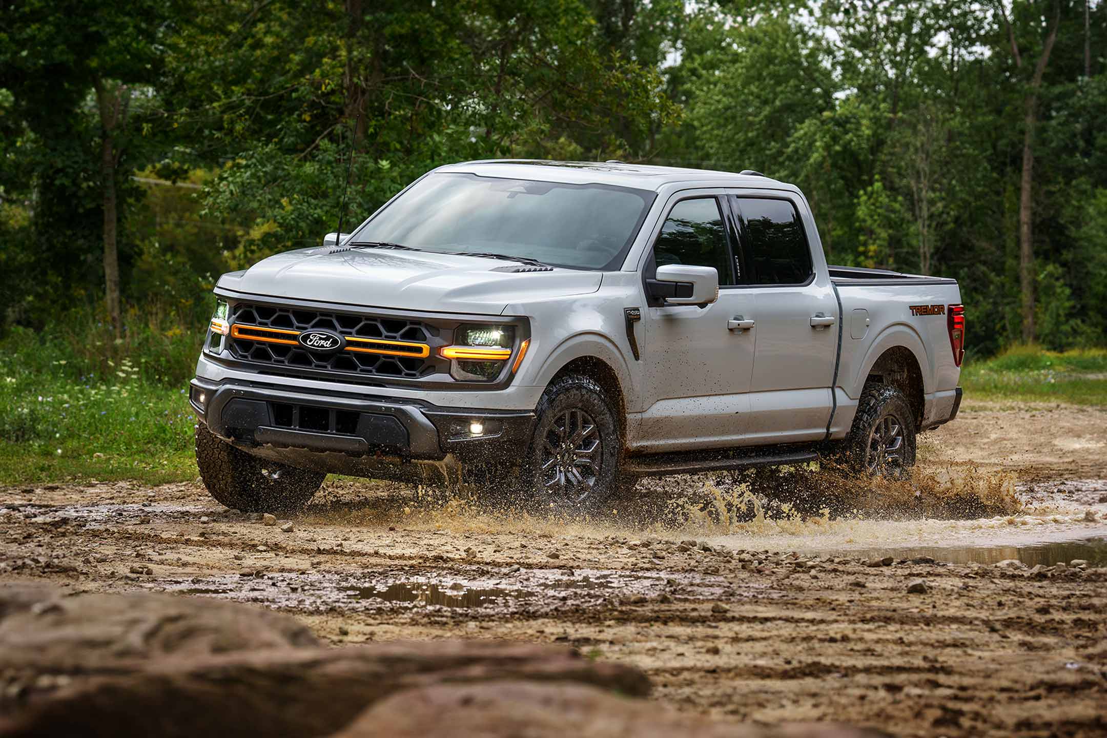 Ford f150 top push car