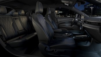 Interior Protection Package